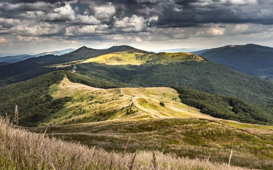 Bieszczady Opinie 2026 - Czy Warto Tam Pojechać? Sprawdzamy!