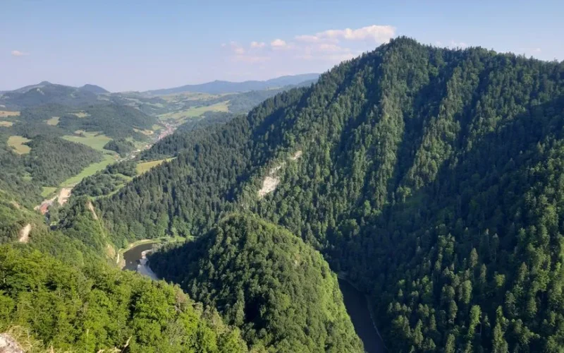 Scenic aerial view of the lush Dunajec River Gorge in Pieniny Mountains, Poland.