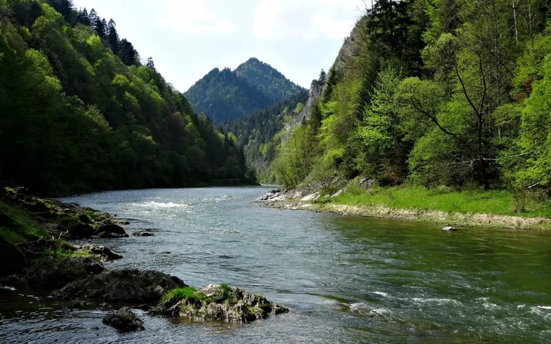 pieniny, góry, krajobraz, przyroda, woda, dunajec, turystyka, pieniny, pieniny, pieniny, dunajec, dunajec, dunajec, dunajec, dunajec