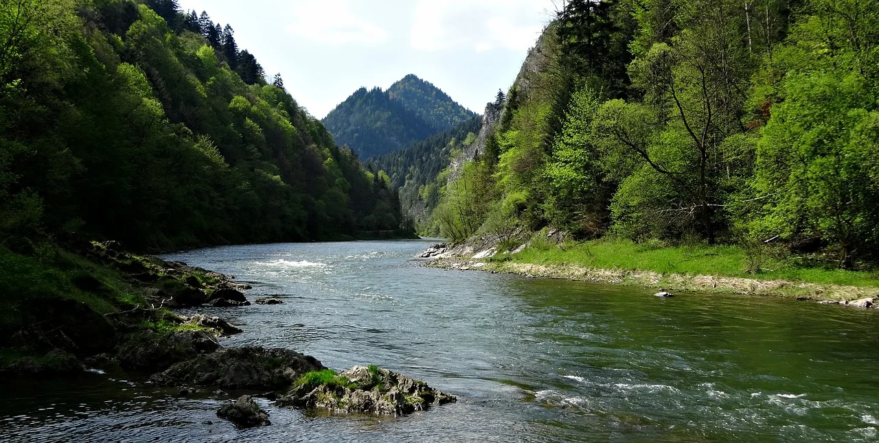 Pieniny Noclegi 2026 - Gdzie Spać? Najlepsze Oferty i Porady