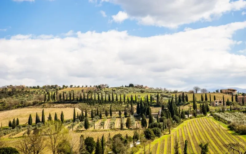 Scenic view of Tuscan farmland with rolling hills and cypress trees under a blue sky.