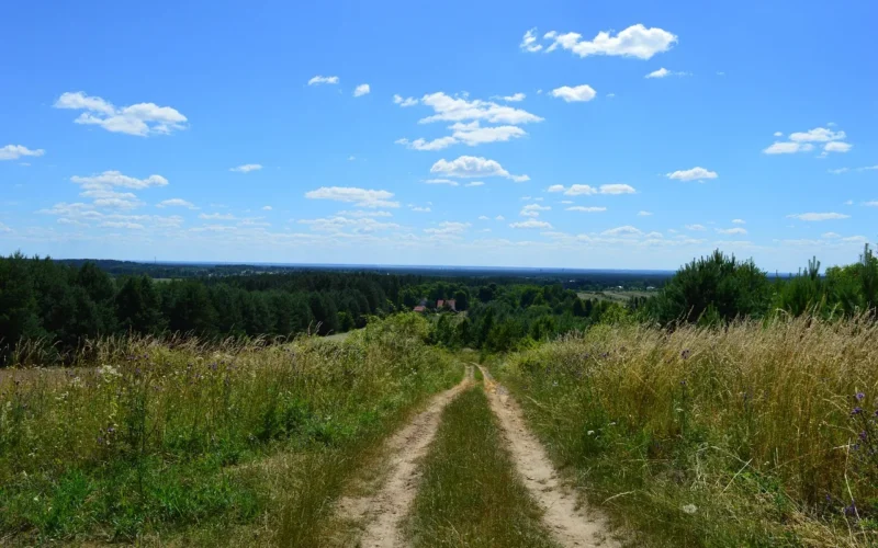 roztocze, majdan nepryski, borowina, krajobraz, zielony, lato, natura, piękno, nastrój, roztocze, roztocze, roztocze, roztocze, roztocze