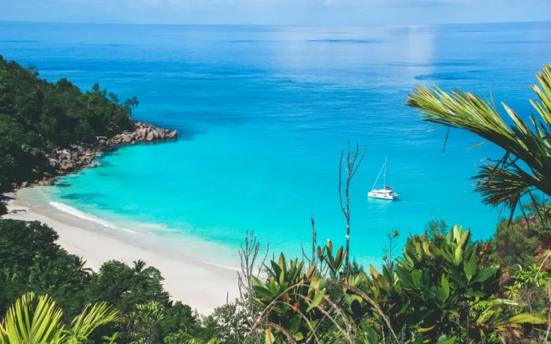 Stunning tropical beach in Seychelles with crystal-clear turquoise water and lush greenery.