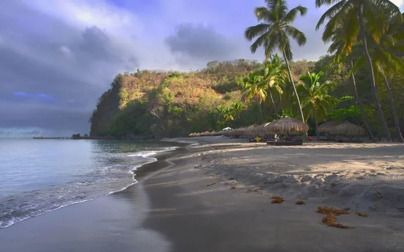 A tranquil tropical beach scene with palm trees and calm waves under a vibrant sky.