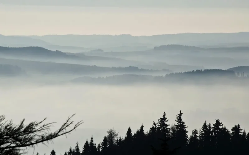 las, góry, natura, sudety, mgła, czechy, wcześnie rano, wschód