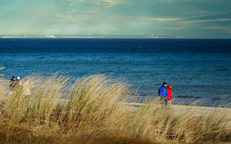 A couple walking along a scenic seaside promenade on a bright day, captured through beach grass.