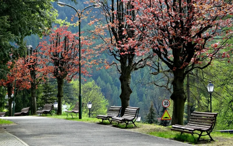 miasto szczawnica, pieniny, polska, turystyka, podróż, zwiedzanie, zieleń, pieniny, pieniny, pieniny, pieniny, pieniny, polska