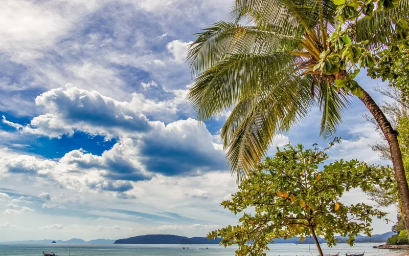 tajlandia, palmy, niebo, krajobraz, wakacje, piasek, chmury, turystyka, wybrzeże, odpoczynek, beach, słońce, podróż, drzewo, krabi, natura, plaża, horyzont, palma, tropikalny, lato