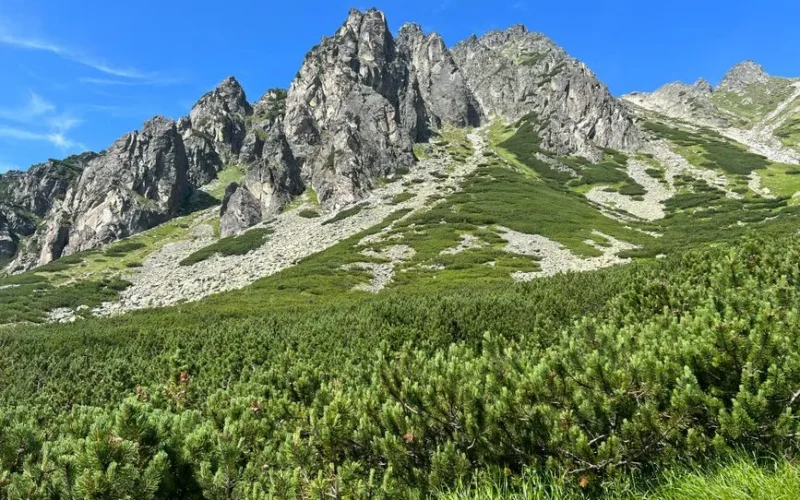Explore the rugged beauty of Vysoké Tatry's peaks and meadows under a clear blue sky.