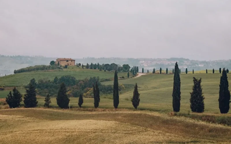 Overcast day in Tuscan hills featuring cypress trees and traditional stone house.
