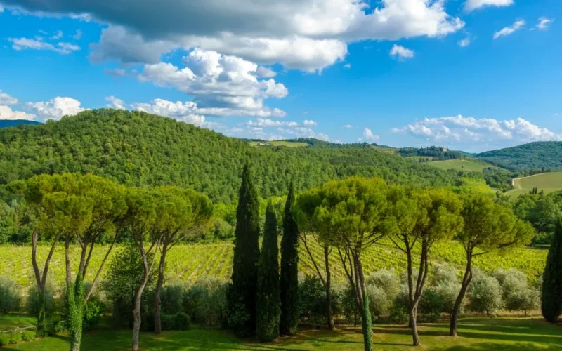 Beautiful view of Tuscan countryside featuring lush greenery and iconic cypress trees under a blue sky.