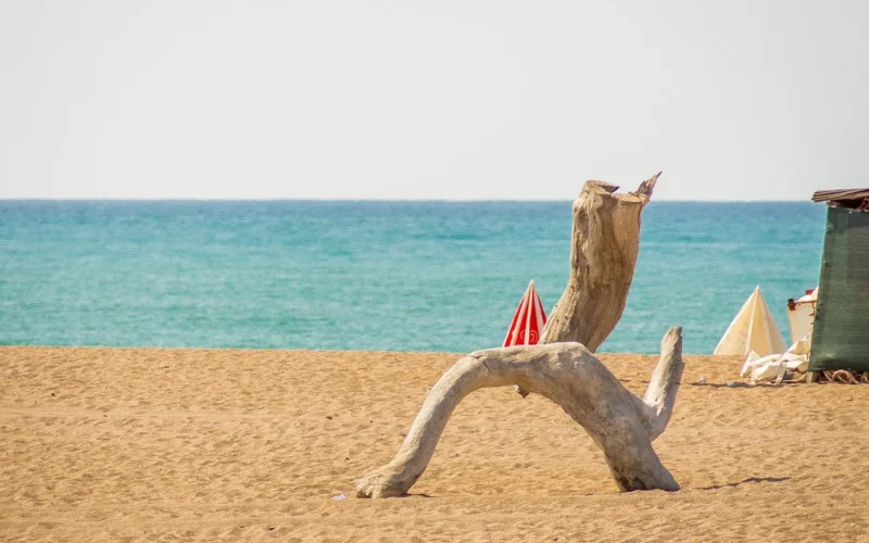 woda, morze, plaża, wakacje, tapeta 4k 1920x1080, natura, piękna tapeta, lato, darmowe tapety, tapeta na laptopa, darmowe tło, tło, niebieski, tapeta w pełnej rozdzielczości, tapeta systemu windows, niebo, piasek, tapeta hd, turkus, fajne tła, tapeta na mac, wybrzeże, tła pulpitu, tapeta 4k, pnia drzewa, indyk, podróżować, brzeg rzeki, czas wolny