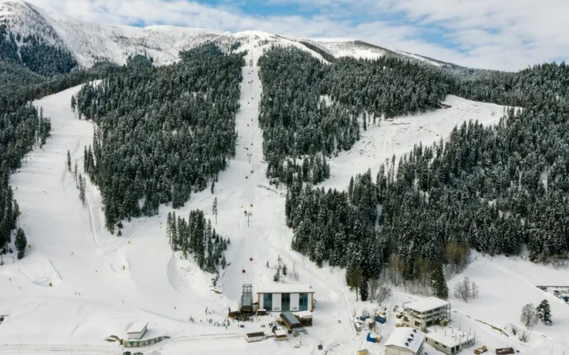 Stunning aerial view of a snowy ski resort surrounded by evergreen trees and mountains. Perfect for winter travel.