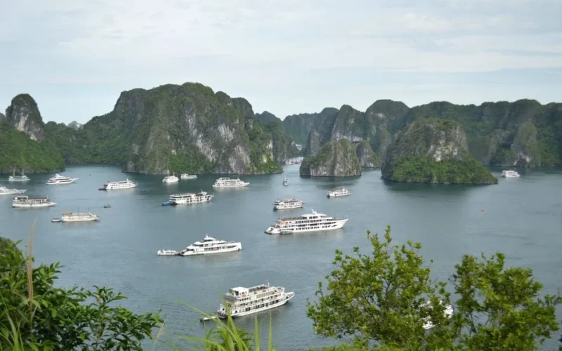 Explore the stunning limestone islands and cruise boats of Ha Long Bay, Vietnam.