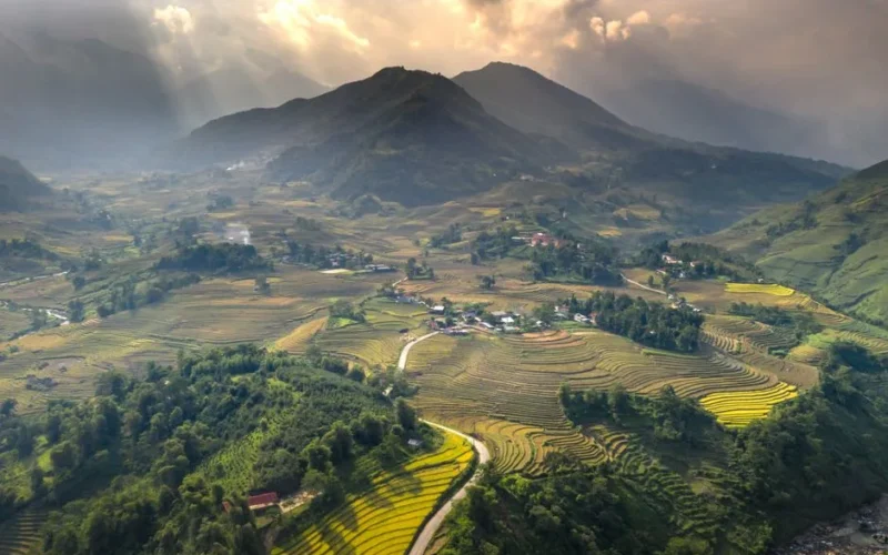 Stunning aerial shot of lush green terraced rice fields with mountains in the background.