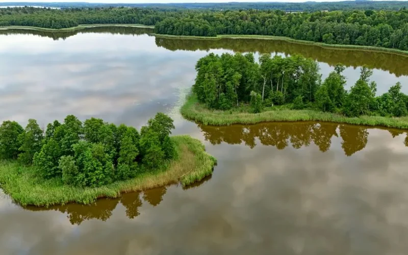A stunning aerial view of lush islands surrounded by water in Podlaskie, Poland, during summer.