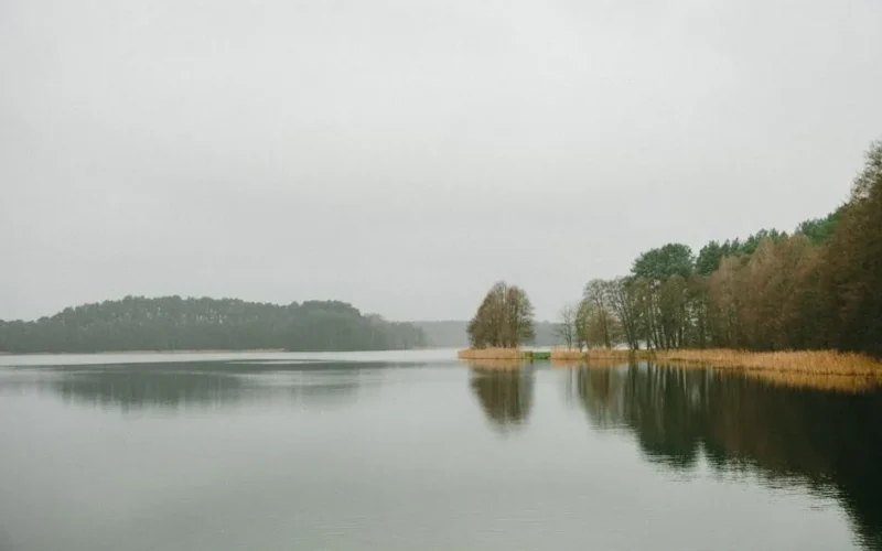 Tranquil lake scene in Poland surrounded by trees under a cloudy sky, reflecting serenity and peacefulness.