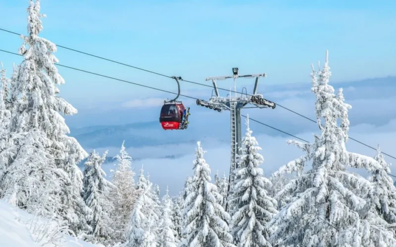 Snow-covered ski lift in Krynica-Zdrój, Poland, amidst wintry forest scenery.