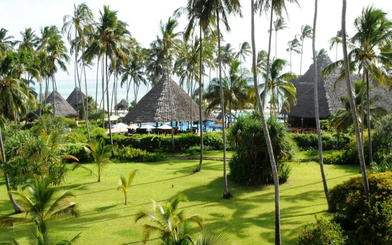 Zanzibar Atrakcje: 15 Niezapomnianych Miejsc, Które Musisz Zobaczyć