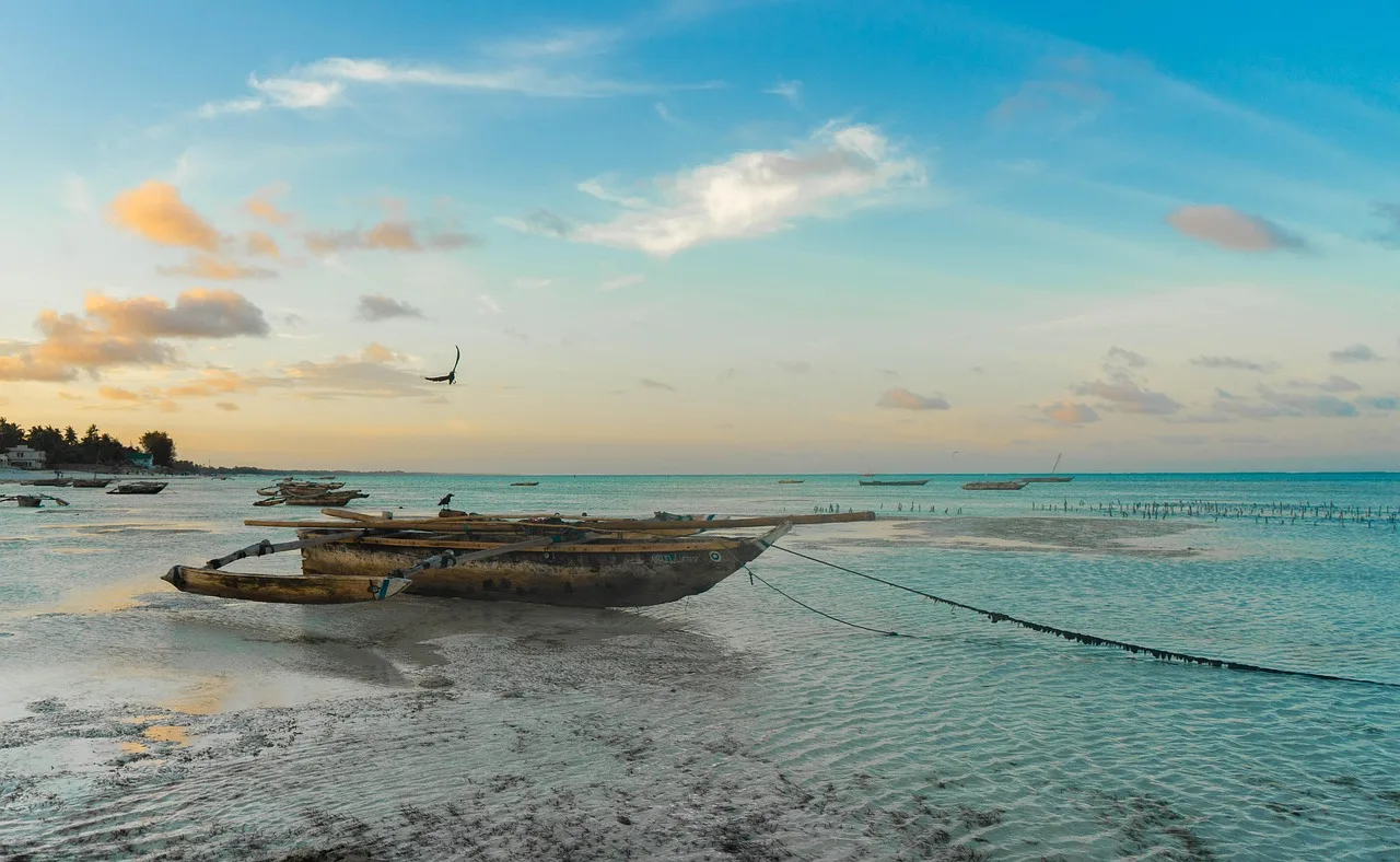 Zanzibar Ceny 2026 - Ile Pieniędzy Zabrać? Praktyczny Poradnik