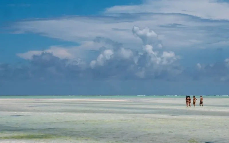Zanzibar co warto zobaczyć? 12 Niezapomnianych Atrakcji i Plaż