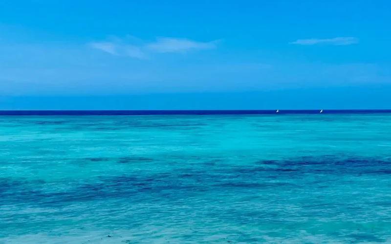 Zanzibar w 3 dni: Kompletny Plan Zwiedzania i Najlepsze Atrakcje