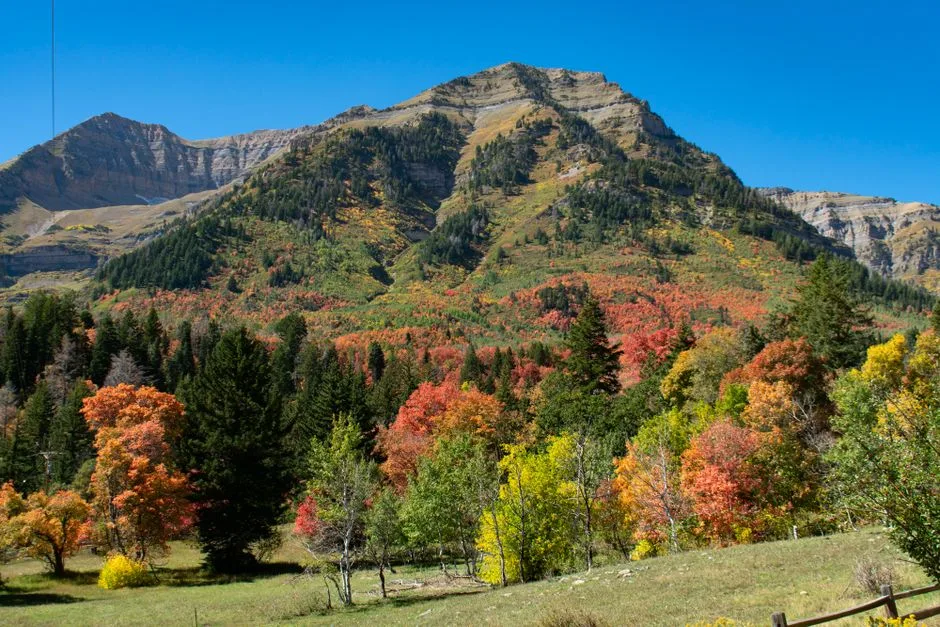 Beautiful autumn landscape with colorful foliage on a majestic mountain under clear blue sky.