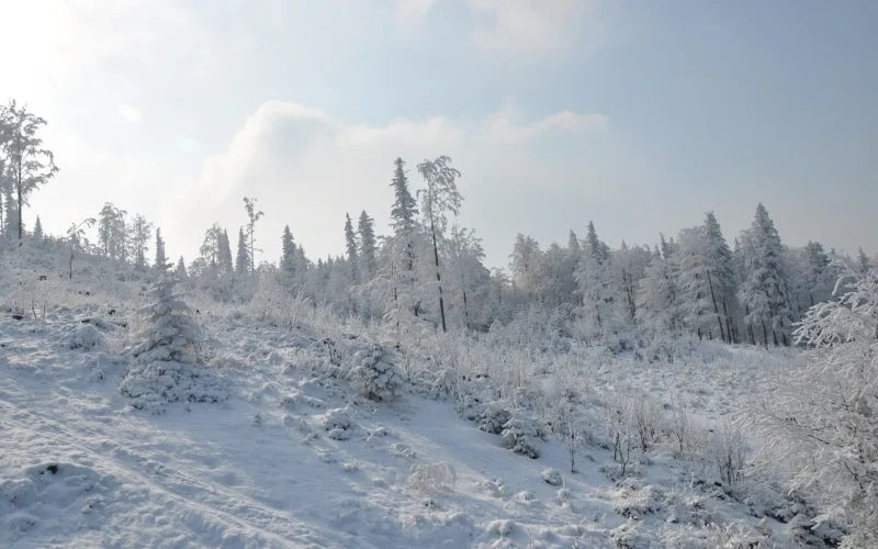 zima, góry, śnieg, biały, krajobraz, widok, natura, polska, szczyrk, szczyrk, szczyrk, szczyrk, szczyrk, szczyrk