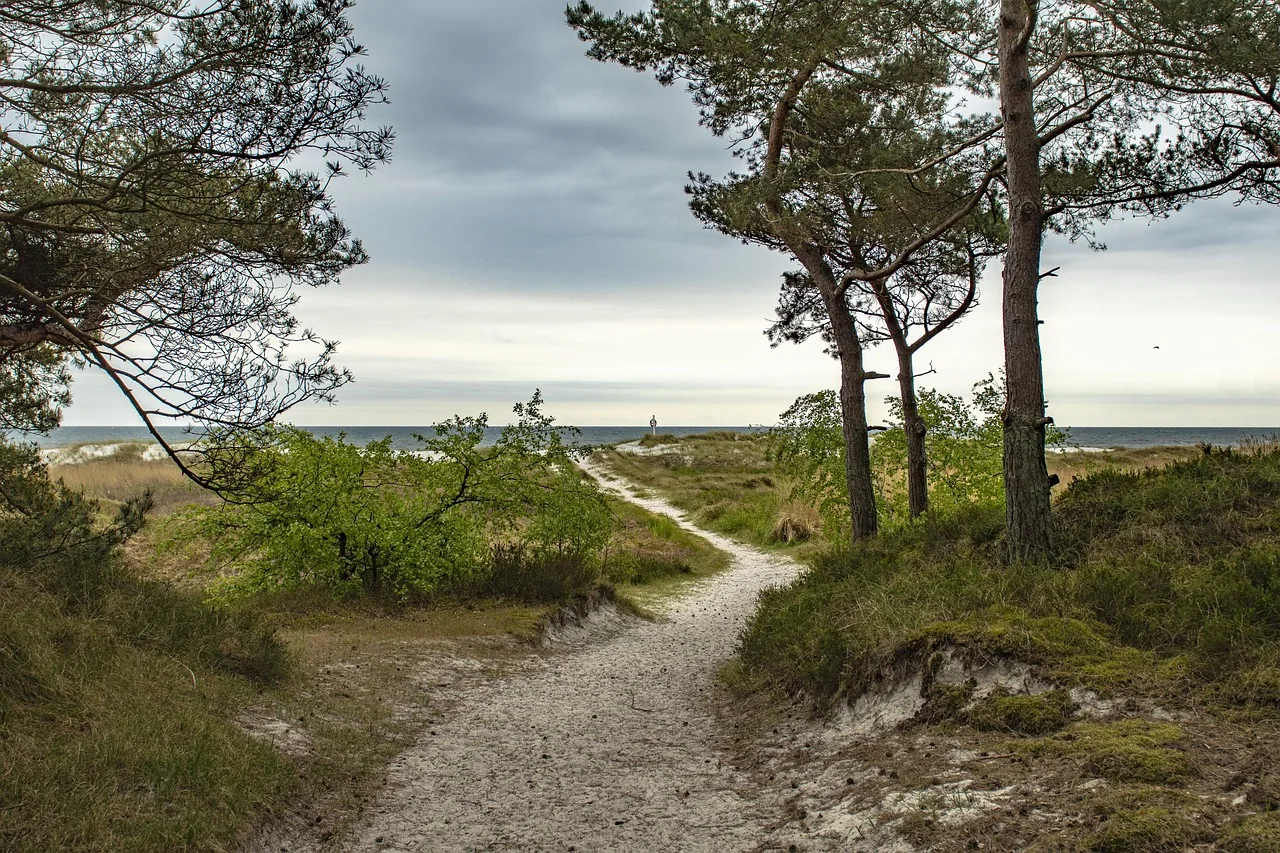 plaża, baltic sea, wybrzeże, piasek, wakacje, woda, natura, krajobraz, cichy, piaszczysta plaża, morze bałtyckie